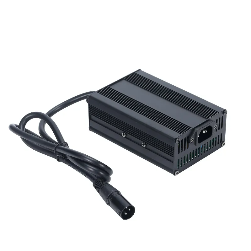 300W E-Bike Charger for 24V-72V Battery Projects 2