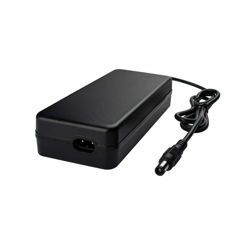 Apollo-Compatible E-Bike Charger for 36V Battery Replacement